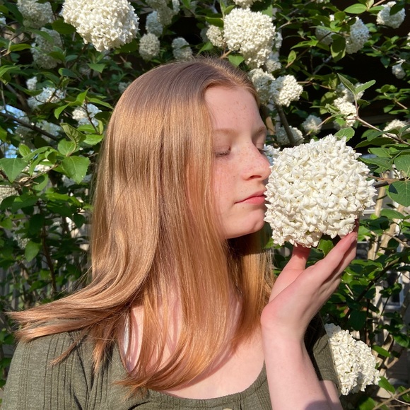 Meet your Posher, Sadie - Picture 1 of 1